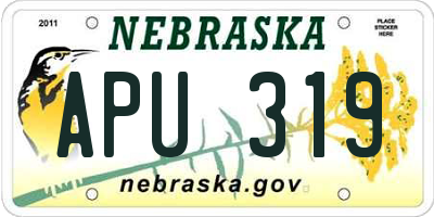NE license plate APU319