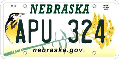 NE license plate APU324