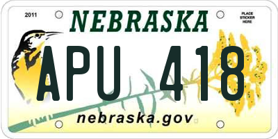 NE license plate APU418