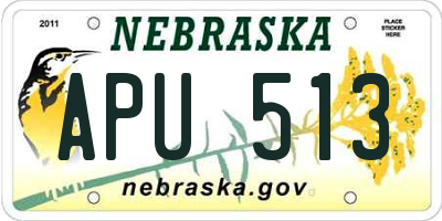 NE license plate APU513