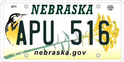NE license plate APU516