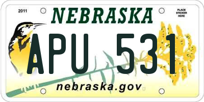 NE license plate APU531