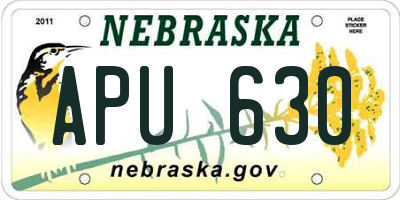 NE license plate APU630