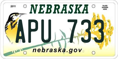 NE license plate APU733