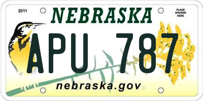 NE license plate APU787