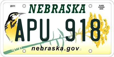 NE license plate APU918