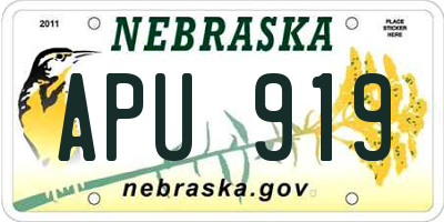 NE license plate APU919