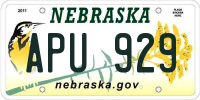 NE license plate APU929