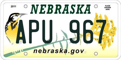 NE license plate APU967