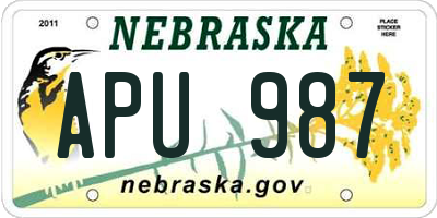 NE license plate APU987