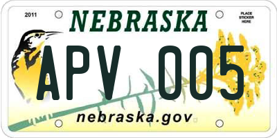 NE license plate APV005