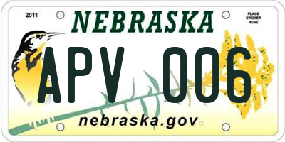 NE license plate APV006