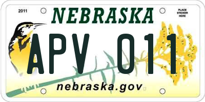 NE license plate APV011