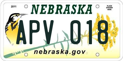 NE license plate APV018
