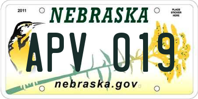 NE license plate APV019