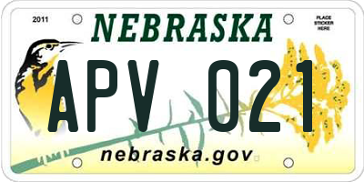 NE license plate APV021