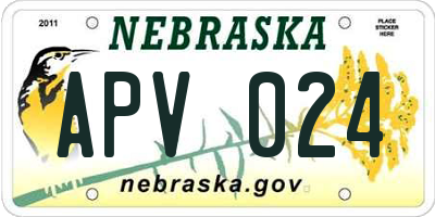 NE license plate APV024