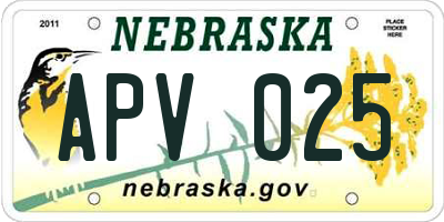 NE license plate APV025