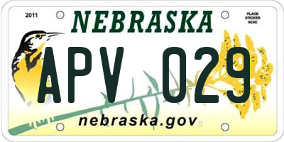 NE license plate APV029