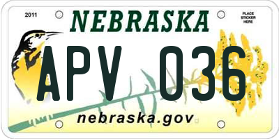 NE license plate APV036