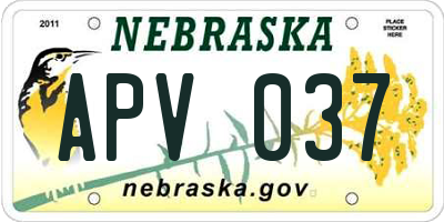 NE license plate APV037
