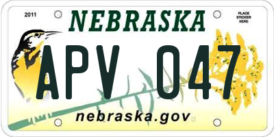 NE license plate APV047