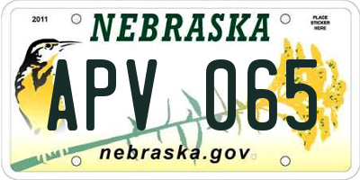 NE license plate APV065