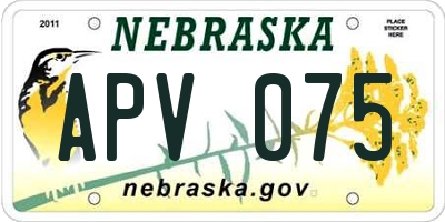 NE license plate APV075