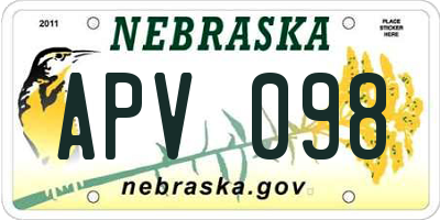 NE license plate APV098