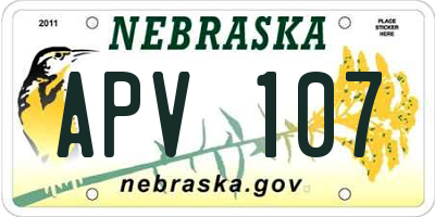 NE license plate APV107