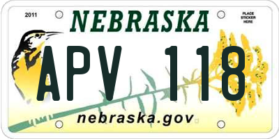 NE license plate APV118