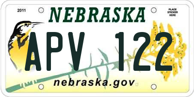 NE license plate APV122