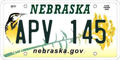 NE license plate APV145