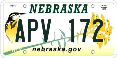 NE license plate APV172
