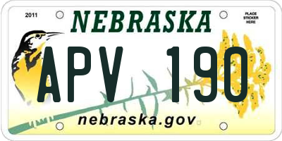 NE license plate APV190