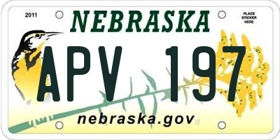 NE license plate APV197