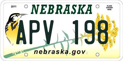 NE license plate APV198