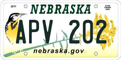 NE license plate APV202