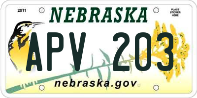 NE license plate APV203