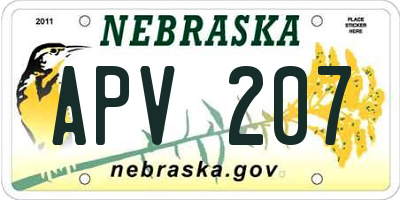 NE license plate APV207