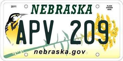 NE license plate APV209