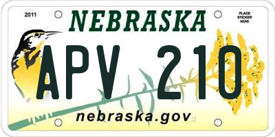 NE license plate APV210