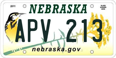 NE license plate APV213
