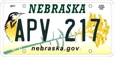 NE license plate APV217
