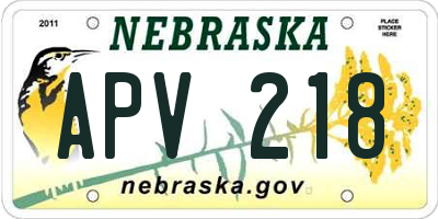 NE license plate APV218