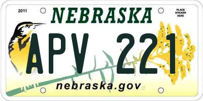 NE license plate APV221