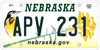 NE license plate APV231