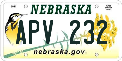 NE license plate APV232