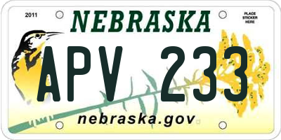 NE license plate APV233