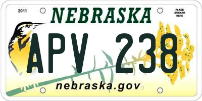 NE license plate APV238
